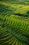 Rice fields on terraced in sunset at Mu Cang Chai, Yen Bai, Vietnam.