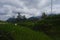 rice fields under the mountains that are starting to be covered by clouds. Rice fields under the mountains in the Indonesian city