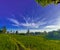 Rice fields under the sky