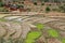 Rice fields and village in Madagascar highlands