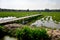 Rice Fields and Wooden bridge with the Scarecrow