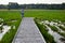 Rice Fields and Wooden bridge with the Scarecrow