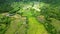 Rice fields that are yellowing near a small village at the foot of a mountain