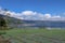 Rice fields with young rice seedlings in a water-drenched field on the shore of Lake Batur on the island of Bali.