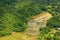 Rice filed and mountain of Borneo