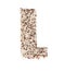 Rice grain forming an alphabet letter L