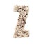 Rice grain forming an alphabet letter Z