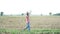 Rice harvest in the fields