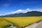 Rice Hometown in Taidongï¼ŒTaiwan