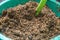 Rice husk mixed with soil and manure for planting media. Composting and gardening concept