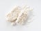 Rice malt placed against a white background. Koji mold