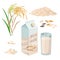 Rice milk package and glass of rice plant milk, pile of rice grains and plant. Set of vector illustrations isolated on