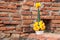 Rice offering from banana leaf and yellow marigold flower on the brick.