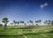 Rice paddie fields landscape view in south bali indonesia