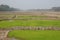 Rice paddies and irrigation