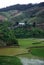 Rice Paddies,Madagascar