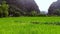 Rice paddies and rock near the town of Ninh Binh, Vietnam.