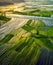 rice paddies seen from the air