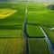 rice paddies seen from the air