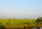 A Rice Paddy along a Backwater Canal, Kerala, India - A Natural Background