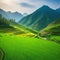 Rice paddy in asia with a village Mountain on the green Generated