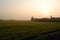 Rice paddy field by sunrise, Novara, Italy