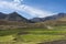 Rice Paddy fields at Kibber, Spiti Valley, Himachal Pradesh