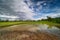 Rice Paddy Reflection Cloud