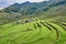 Rice paddy terrace fields Philippines
