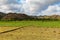 Rice paddy workers in a field near Mawun Beach, Kuta, Lombok