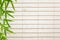 Rice paper background with bamboo leaves