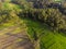 Rice plant terrace Asia agriculture at Bali Indonesia,panggung I