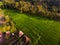 Rice plant terrace Asia agriculture at Bali Indonesia,panggung I