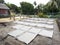 Rice powder grains drying the sun