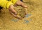 Rice seeds on man farmer hands on paddy background, a higher qua