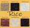 Rice set, black, red, parboiled, arborio, brown, wild. 3d Vector illustration. Realistic rice close up.