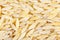 Rice-shaped pasta texture. View from above. Close-up
