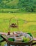 rice soup in the morning for breakfast with a green yellow rice paddy field at Sapan Thailand