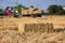 Rice straw bales on rice field and farmer working,natural design