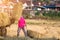 Rice straw bales on rice field and farmer working,natural design