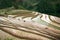 Rice terrace field at Three House Village, North West, Vietnam