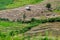 Rice terrace and mountain at Pa Bong Piang near Inthanon National Park and Mae Chaem, Chiangmai, Thailand.