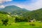 Rice terrace paddy fields, Shodoshima Island, Kagawa, Shikoku, Japan