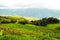 Rice terrace at Pid Thong Lang Phra royal project ,Nan