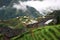 rice terraces