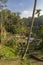 Rice Terraces, Bali. Indonesia. Green cascade rice field plantation