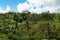 Rice Terraces in Bali - Vertical Agriculture - in colour