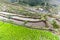 Rice terraces Batad philippines