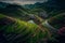 rice terraces in a distant valley