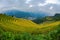 Rice terraces field landscapes beautiful